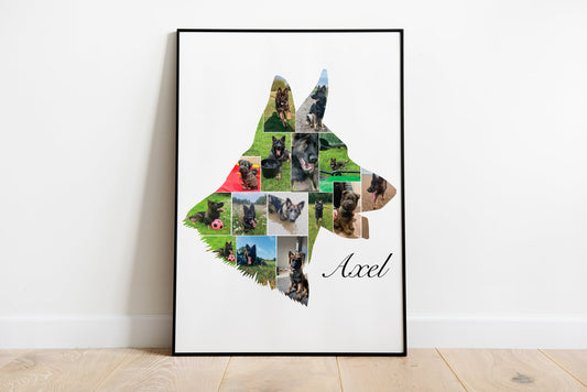 Dog Head Photo Collage
