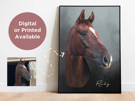 Horse Portrait Digital Painting (Single Image)